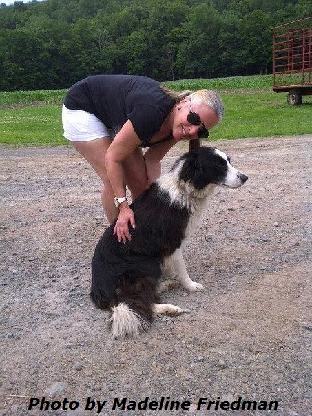 Delray Beach Dog Trainer Border Collie