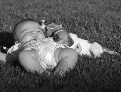 Delray Beach Dog Trainer Dog with Baby