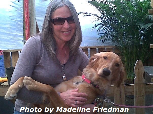 Delray Beach Dog Trainer Foster and Rescue