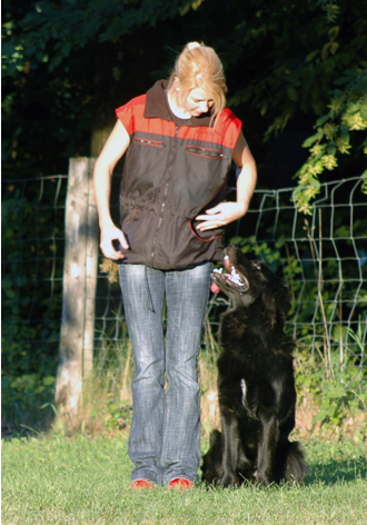 Delray Beach Dog Trainer Training for Trainers
